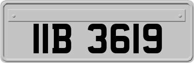 IIB3619