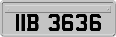IIB3636