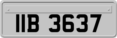 IIB3637