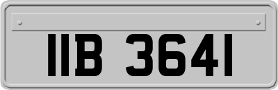 IIB3641