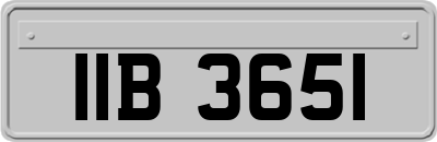 IIB3651