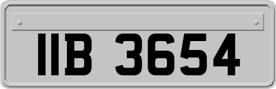 IIB3654