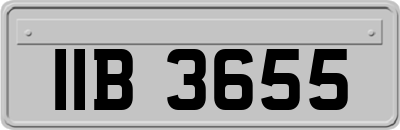 IIB3655