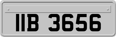 IIB3656