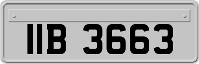 IIB3663