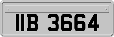 IIB3664