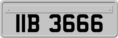 IIB3666