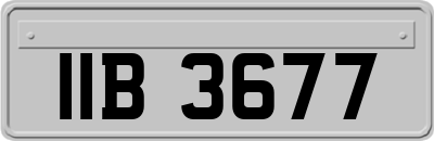 IIB3677