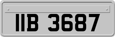 IIB3687