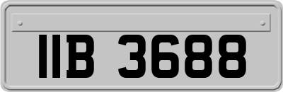 IIB3688