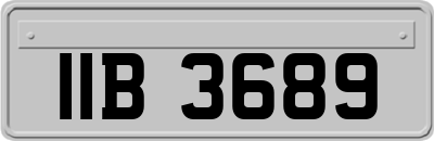 IIB3689