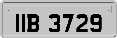 IIB3729