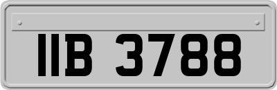 IIB3788