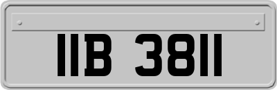 IIB3811