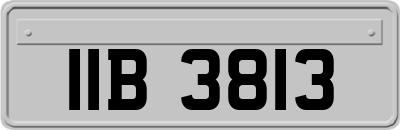 IIB3813