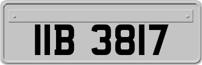 IIB3817