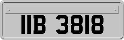 IIB3818
