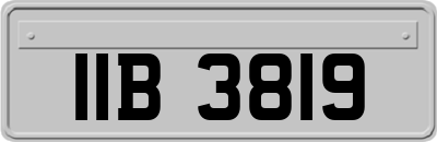IIB3819