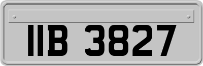 IIB3827