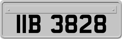 IIB3828