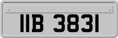 IIB3831