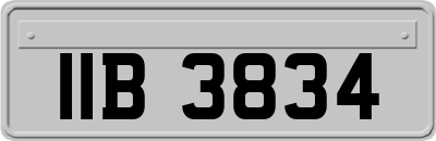 IIB3834