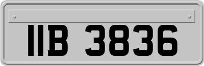 IIB3836