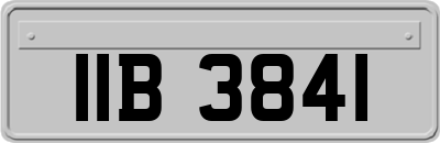 IIB3841