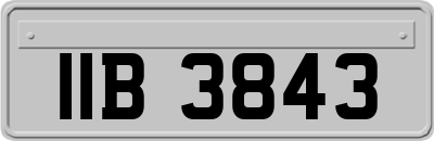 IIB3843
