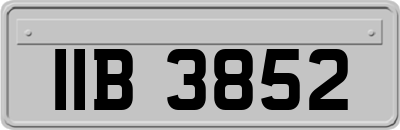 IIB3852