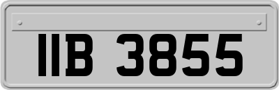 IIB3855