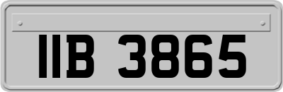 IIB3865