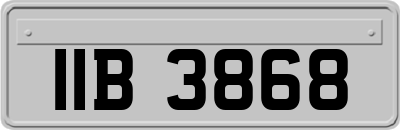 IIB3868