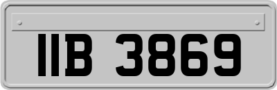 IIB3869