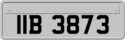 IIB3873