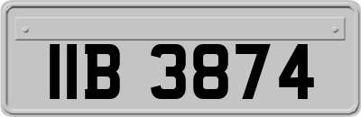 IIB3874