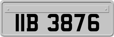 IIB3876