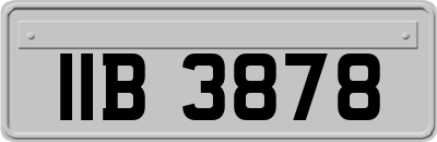 IIB3878