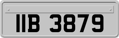 IIB3879