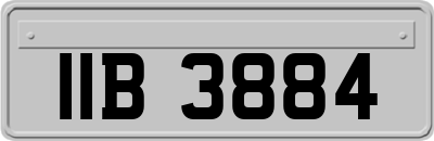 IIB3884