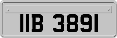 IIB3891