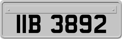 IIB3892