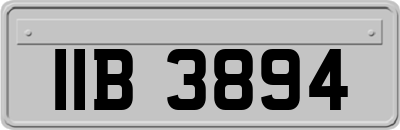 IIB3894