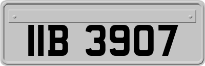IIB3907