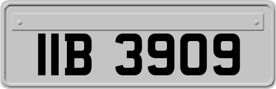 IIB3909