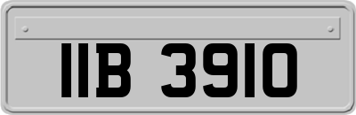 IIB3910