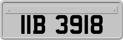 IIB3918