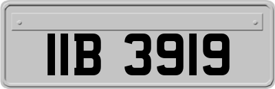 IIB3919