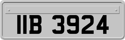 IIB3924