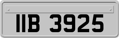 IIB3925
